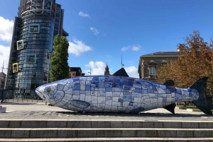 Het beste van Belfast Wandeltour