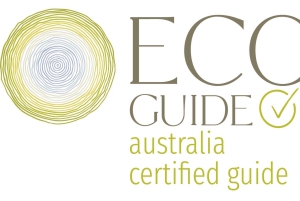 Bowen Strände & Entdeckung: Top of the Whitsundays