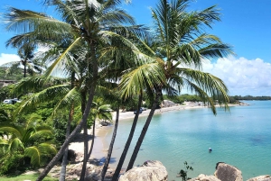 Bowen Strände & Entdeckung: Top of the Whitsundays