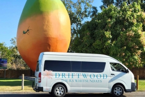 Bowen Strände & Entdeckung: Top of the Whitsundays