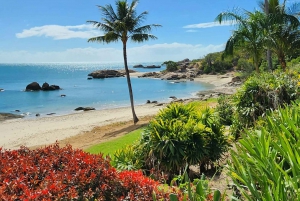 Bowen Strände & Entdeckung: Top of the Whitsundays