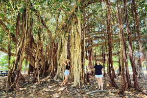 Bowen Strände & Entdeckung: Top of the Whitsundays