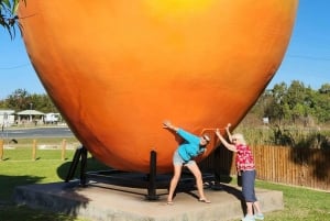 Bowen Strände & Entdeckung: Top of the Whitsundays