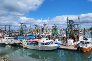 Bowen Strände & Entdeckung: Top of the Whitsundays