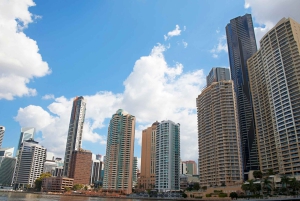 Brisbane: Donuts & Discovery Walking Tour