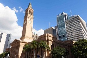 Brisbane: Donuts & Discovery Walking Tour