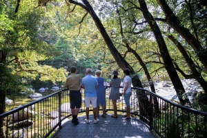 Brisbane to Daintree Whitsundays & Reef 9 Day Comfort Tour