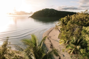 Brisbane till Daintree Whitsundays & Reef 9 dagars komforttur