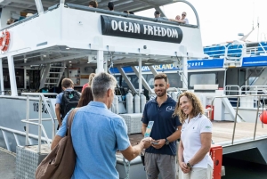 Brisbane till Daintree Whitsundays & Reef 9 dagars komforttur