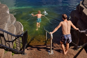 Brisbane till Daintree Whitsundays & Reef 9 dagars komforttur