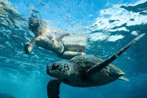 Byron Bay: Snorkeltocht bij Julian Rocks, Nguthungulli