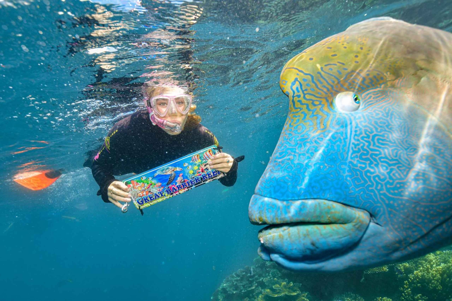 Cairns: 2-Day Barrier Reef Pontoon & Fitzroy Island Tour