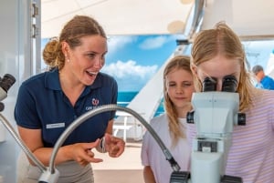 Cairns: 2-dagers tur med pontong på Barriererevet og Fitzroy Island