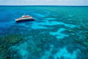 Cairns: 2-Day Great Barrier Reef and Fitzroy Island Tour