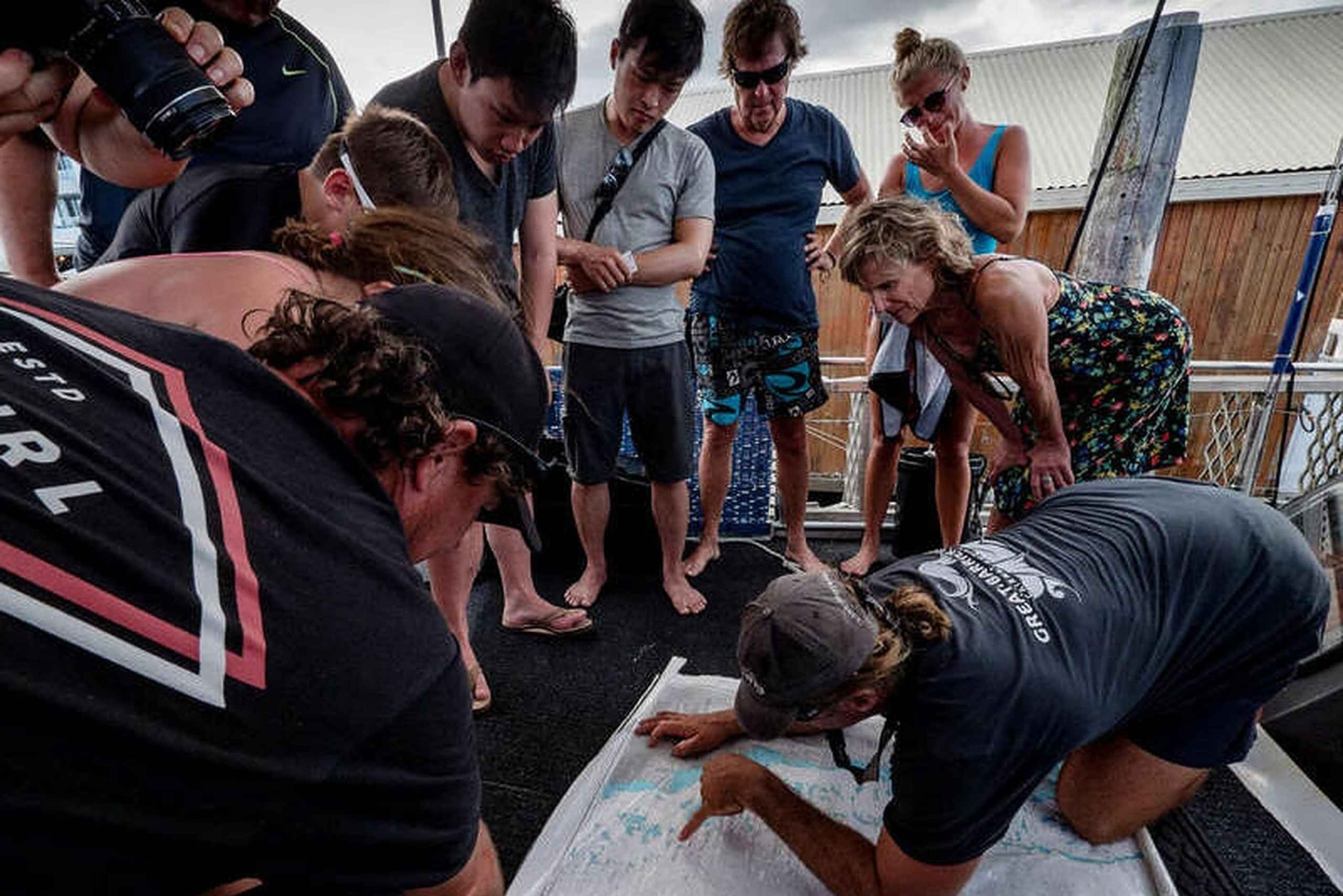 Cairns: 2-Day Great Barrier Reef Dive and Snorkel Boat Trip