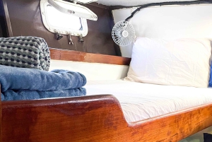 Cairns: 2-dagars båttur till Stora Barriärrevet med dykning och snorkling