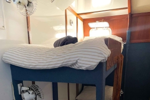 Cairns: 2-dagars båttur till Stora Barriärrevet med dykning och snorkling