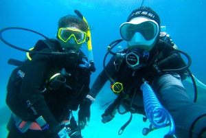 Cairns: 2-dagars båttur till Stora Barriärrevet med dykning och snorkling