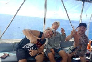 Cairns: 2-dagars båttur till Stora Barriärrevet med dykning och snorkling