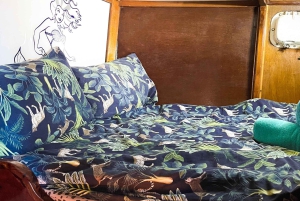 Cairns: 2-Day Great Barrier Reef Dive and Snorkel Boat Trip