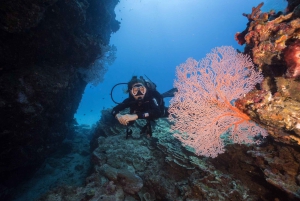Cairns: 2-Day Great Barrier Reef Dive and Snorkel Boat Trip
