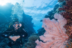 Cairns: 2-Day Great Barrier Reef Dive and Snorkel Boat Trip