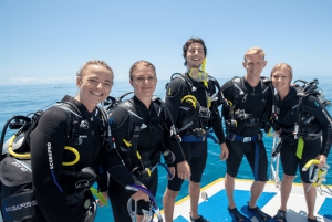 Cairns: Corso PADI Open Water di 4 giorni per imparare ad immergersi