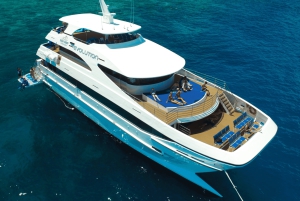 Cairns: Corso PADI Open Water di 4 giorni per imparare ad immergersi