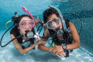 Cairns: Corso PADI Open Water di 4 giorni per imparare ad immergersi