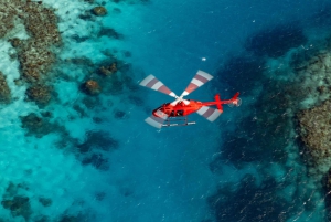 Cairns: 45 minuten panoramische vlucht over het Great Barrier Reef en het regenwoud