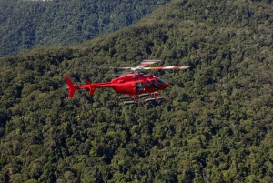Cairns: 45 minuten panoramische vlucht over het Great Barrier Reef en het regenwoud