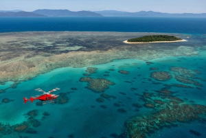 Cairns: 45 minuten panoramische vlucht over het Great Barrier Reef en het regenwoud