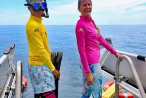 Cairns: Halvdags snorkling på Great Barrier Reef med alt inkluderet