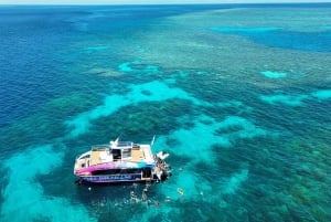 Cairns: Halvdags snorkling på Great Barrier Reef med alt inkluderet