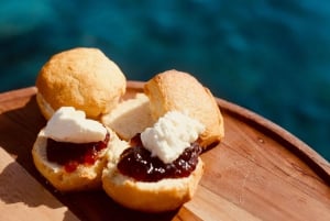 Cairns: Halvdags snorkling på Great Barrier Reef med alt inkluderet