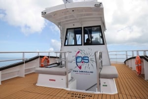 Cairns: Halvdags snorkling på Great Barrier Reef med alt inkluderet