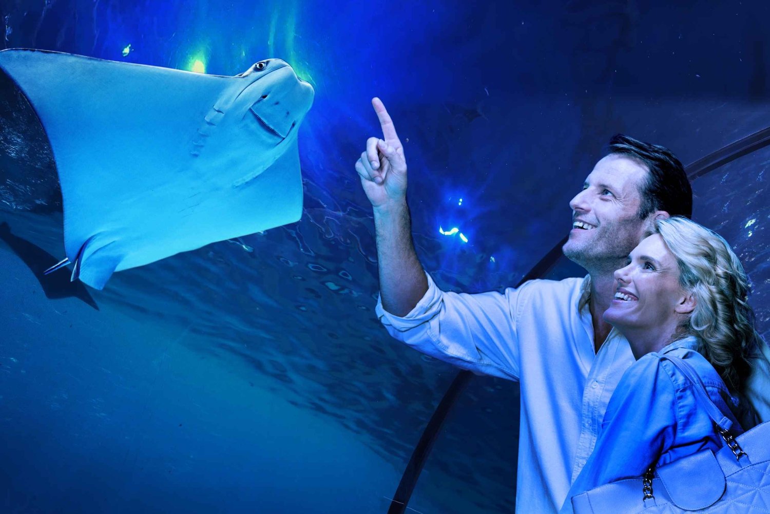 Cairns: Geführte Dämmerungstour durch das Aquarium mit 3-Gänge-Menü