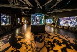 Cairns: Visita guiada crepuscular al acuario con cena de 3 platos