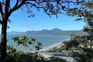 Cairns: Cape Tribulation, Daintree, Mossman och Port Douglas