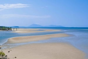 Cairns: Cape Tribulation, Daintree, Mossman och Port Douglas