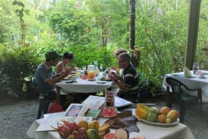 Cairns: Cape Tribulation, Daintree, Mossman och Port Douglas