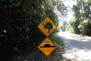 Cairns: Cape Tribulation, Daintree, Mossman och Port Douglas