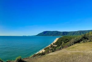 Cairns: Cape Tribulation, Daintree, Mossman och Port Douglas