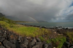 Cairns: Cape Tribulation, Daintree, Mossman och Port Douglas