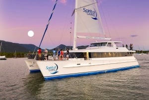 Cairns: Middagscruise-opplevelse