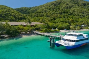 Cairns: Fitzroy Island Ferry with Optional Lunch & Activity