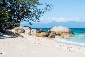 Cairns: Fitzroy Island Ferry with Optional Lunch & Activity