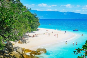 Cairns: Fitzroy Island Ferry with Optional Lunch & Activity