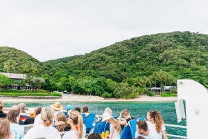 Cairns: Fitzroy Island halvdag med valfria extrafunktioner