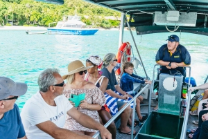 Cairns: Fitzroy Island halvdag med valfria extrafunktioner